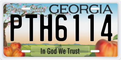GA license plate PTH6114