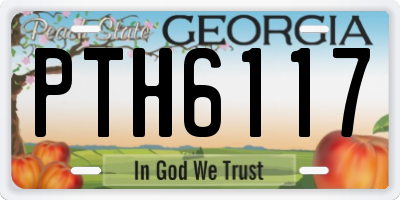 GA license plate PTH6117