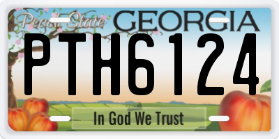 GA license plate PTH6124