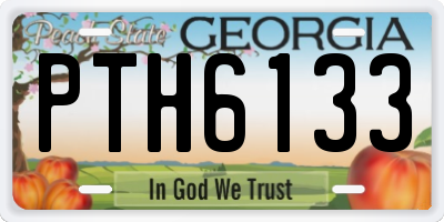 GA license plate PTH6133