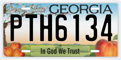 GA license plate PTH6134