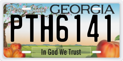 GA license plate PTH6141