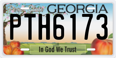 GA license plate PTH6173