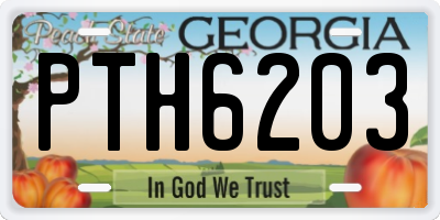 GA license plate PTH6203