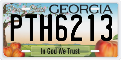 GA license plate PTH6213