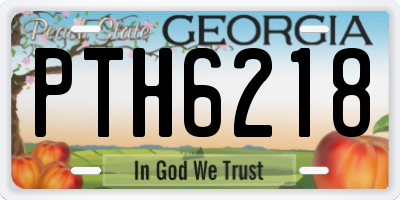 GA license plate PTH6218