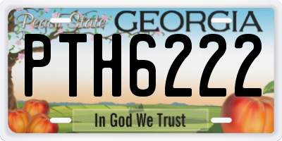 GA license plate PTH6222