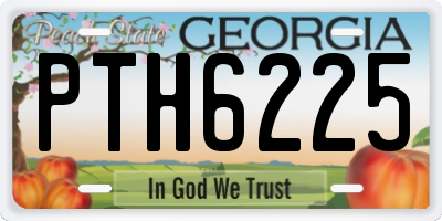 GA license plate PTH6225