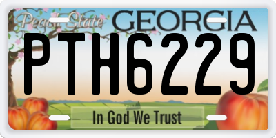 GA license plate PTH6229