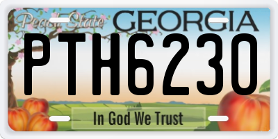 GA license plate PTH6230