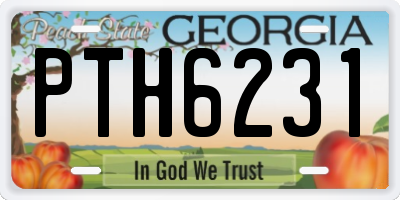 GA license plate PTH6231