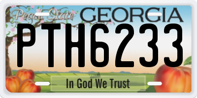 GA license plate PTH6233