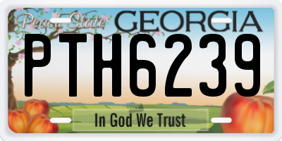 GA license plate PTH6239