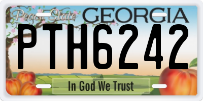 GA license plate PTH6242