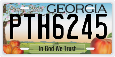 GA license plate PTH6245
