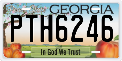 GA license plate PTH6246