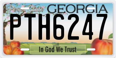GA license plate PTH6247