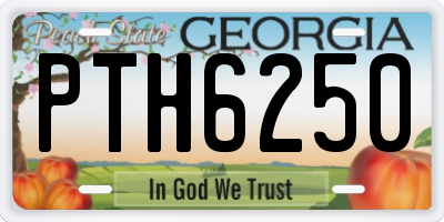 GA license plate PTH6250