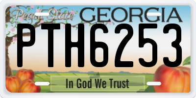 GA license plate PTH6253