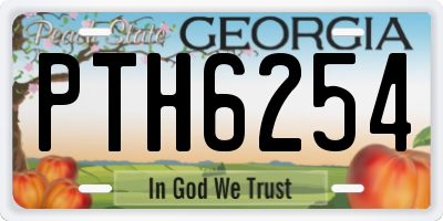 GA license plate PTH6254
