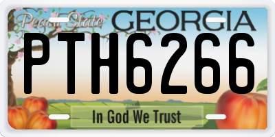 GA license plate PTH6266