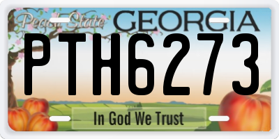 GA license plate PTH6273