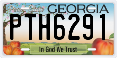 GA license plate PTH6291