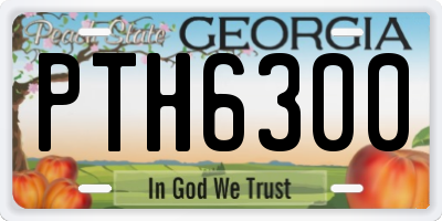 GA license plate PTH6300