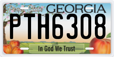 GA license plate PTH6308