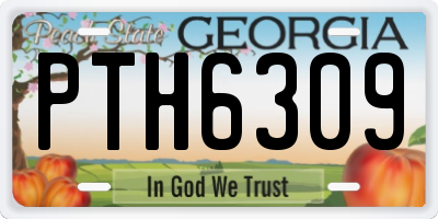 GA license plate PTH6309