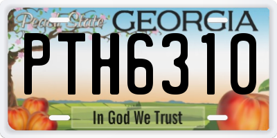 GA license plate PTH6310