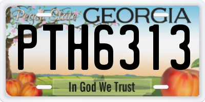 GA license plate PTH6313