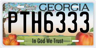 GA license plate PTH6333