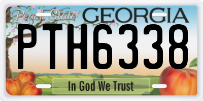 GA license plate PTH6338