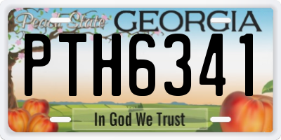 GA license plate PTH6341