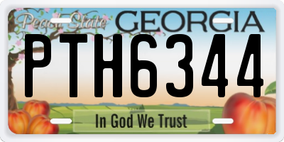 GA license plate PTH6344