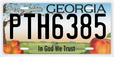 GA license plate PTH6385