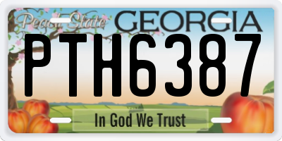GA license plate PTH6387