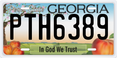 GA license plate PTH6389