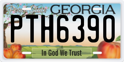 GA license plate PTH6390