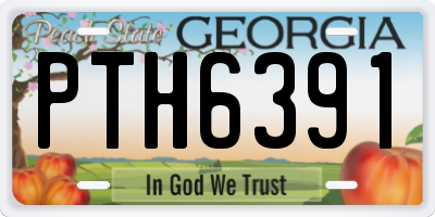 GA license plate PTH6391