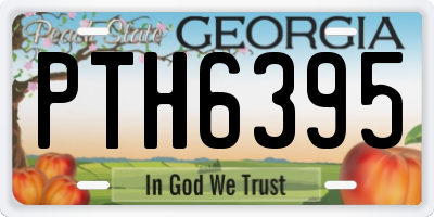 GA license plate PTH6395