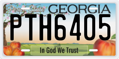 GA license plate PTH6405