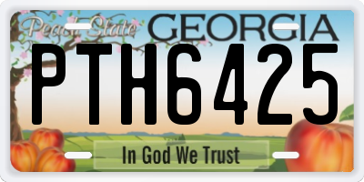 GA license plate PTH6425