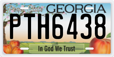 GA license plate PTH6438