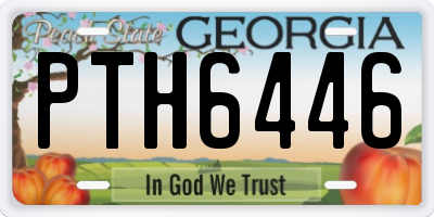 GA license plate PTH6446