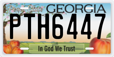 GA license plate PTH6447