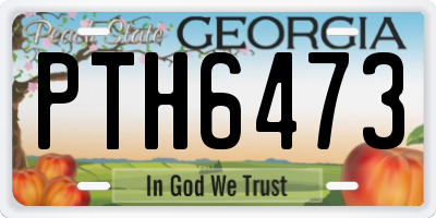 GA license plate PTH6473