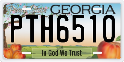 GA license plate PTH6510