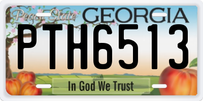 GA license plate PTH6513
